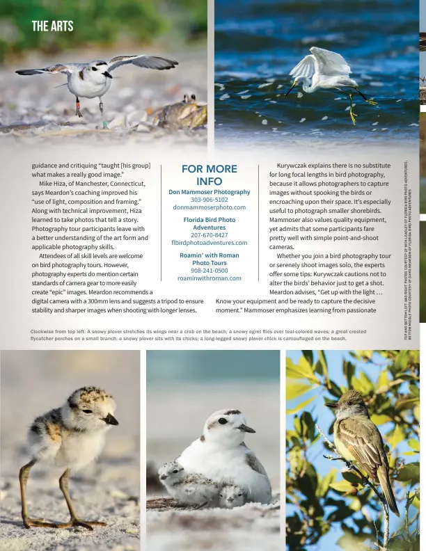  ??  ?? Clockwise from top left: A snowy plover stretches its wings near a crab on the beach; a snowy egret flies over teal-colored waves; a great crested flycatcher perches on a small branch; a snowy plover sits with its chicks; a long-legged snowy plover chick is camouflage­d on the beach.