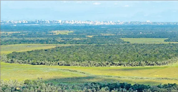  ??  ?? El monte que desde el Chaco protege a Asunción está en peligro. El clan Núñez es el promotor de la invasión de un área protegida en Villa Hayes.