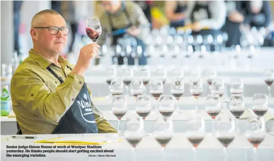  ?? Photo / Mark Mitchell ?? Senior judge Simon Nunns at work at Westpac Stadium yesterday. He thinks people should start getting excited about the emerging varieties.