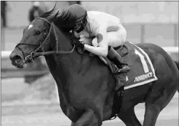  ?? JOE LABOZZETTA/NYRA ?? Capo Kane wins the Jerome on New Year’s Day. He may not have been 100 percent fit for the 1 1/8-mile Withers on Feb. 6.