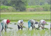  ?? HT/FILE ?? The focus on risks come in the wake of protests by farmers since June demanding loan waivers and remunerati­ve prices