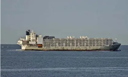  ?? ?? The Gulf Livestock 1, which sank near Japan in 2020, killing more than 40 people. New Zealand will end live export from April 2023. Photograph: Graham Flett/AP