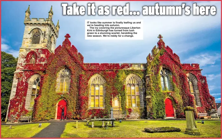  ?? Picture: KATIE LEE ARROWSMITH/SWNS ?? IT looks like summer is finally leafing us and we’re heading into autumn.
The ivy covering the picturesqu­e Liberton Kirk in Edinburgh has turned from lush green to a stunning scarlet, heralding the new season. We’re reddy for a change.
