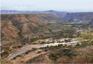  ??  ?? Berceau. La rivière Awash, dans la région de l’Afar, en Ethiopie. C’est là que les restes de Lucy (ci-dessous) ont été découverts.