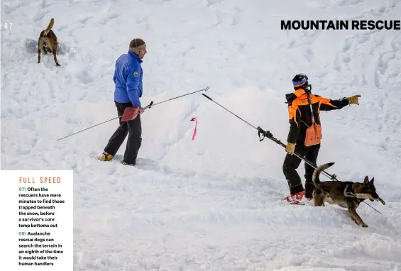  ??  ?? FULL SPEED 07\ Often the rescuers have mere minutes to find those trapped beneath the snow, before a survivor’s core temp bottoms out 08\ Avalanche rescue dogs can search the terrain in an eighth of the time it would take their human handlers