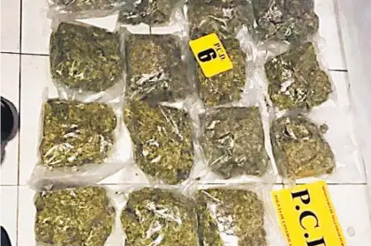  ?? CORTESÍA DEL MSP ?? El pasado 16 de mayo, la PCD desarticul­ó una banda que recibía colaboraci­ón de los dos policías capturados este martes. En esa ocasión, como evidencia se decomisaro­n marihuana y otras drogas.