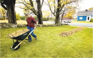  ?? CHERYL SENTER AP ?? Robert Rowllins finishes up a four-hour session of raking leaves in front of his Salisbury, N.H., home. Even yardwork jobs are fueled by online sites.