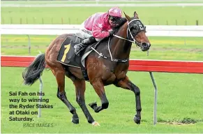  ?? RACE IMAGES ?? Sai Fah on his way to winning the Ryder Stakes at Otaki on Saturday.