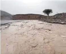  ?? Courtesy: NCM ?? Rainwater gushes by a road in Fujairah after a heavy downpour.