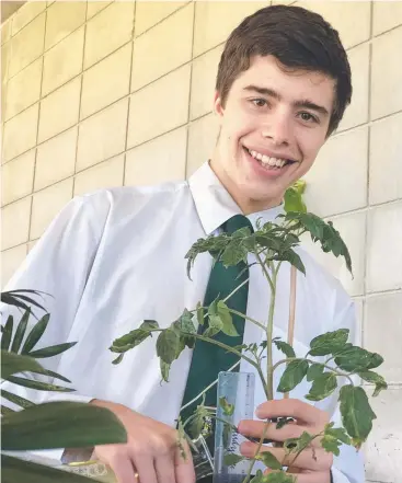  ??  ?? INVESTIGAT­ION: Trinity Anglican School student Sam Kwort with some plants used in an experiment to tackle soil pollution.