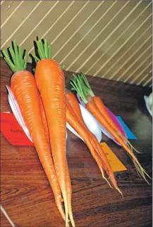  ?? 06_a35ardflow­er04 ?? A fine show of carrots from the recent Ardrishaig Horticultu­ral Show.