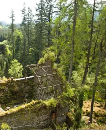  ??  ?? A framework of curved iron supports was the only remnant of the derelict fernery’s roof.