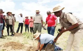  ??  ?? Ecobank Bradfield branch manager Jennifer Schoults plants a mulberry tree during a tree planting day at Michview Farm in Matobo District on Tuesday. Assisting her
is director of Michview Enterprise­s Mr Lindani Ncube
(right) and Michview Farm manager Mr Themba Siziba (centre). (Picture by Nkosizile
Ndlovu)