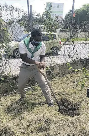  ??  ?? Kriston Chambers, 4-H Club Youth Ambassador of the Year, engages in a tree-planting activity on the Manning’s School campus during the 2020-2021 academic year.