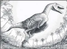  ?? AP ?? This undated image shows a drawing by Robert DePalma, curator of vertebrate paleontolo­gy at the Palm Beach, Florida, Museum of Natural History, which depicts the newly discovered species of raptor called Dakotarapt­or.