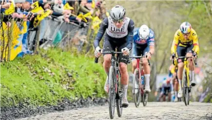  ?? Foto: Efe ?? El esloveno Tadej Pogacar, hace unos días en el Tour de Flandes.