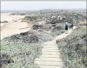  ?? ?? A wooden walkway leads the way from Franklin Point in northern Año Nuevo State Park to Whitehouse Creek Beach in San Mateo County.