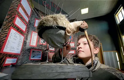  ?? ROBYN EDIE/STUFF ?? Travis Chittenden, 12, a year 8 pupil at Halfmoon Bay school, Stewart Island, sets up his project ‘Kiwi on the Move’ at the NZAS Southland Science and Technology Fair 2018 started at the Invercargi­ll Working Mens club, Invercargi­ll.