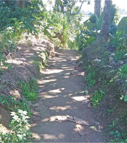  ?? Photo: Shreeya Verma ?? The shortcut at the end of the roundabout at Cakacaka Road in Caubati.