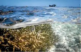  ?? NINE ?? The Great Barrier Reef faces destructio­n as the world braces for 1.5 degrees of warming.