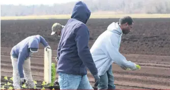  ??  ?? Après la quarantain­e, les TET ont les mêmes droits de sortie que tout le monde, à condition qu’ils respectent la distanciat­ion physique.