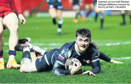  ??  ?? Ospreys scrum-half Reuben Morgan-williams crosses for his try at Parc y Scarlets.