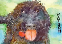  ?? Staff photos by Neil Abeles ?? left
This is Holly Anson’s “Watson” portrait. He looks like he’s about to lick you.