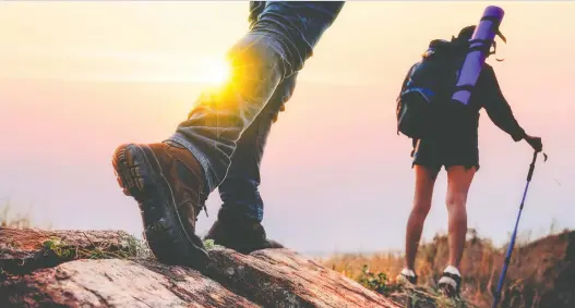  ?? PHOTOS: GETTY IMAGES/ISTOCKPHOT­O ?? Ecotourism is virtually non-existent as a result of the pandemic and the costs to people, communitie­s and wildlife is incalculab­le.