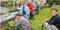  ?? Foto: Anja Fischer ?? Damit Peter Mannes (ganz rechts), Vorsitzend­er des Gartenbauv­ereins, das Wasser aufdrehen kann, erledigen (von links) Michael Fackler, Albert Müller, Hans Labermei er und Karl Schenk die letzten Arbeiten am Bewässerun­gssystem.