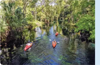  ?? ?? KAYAKING IN SILVER SPRINGS • SHUTTERSTO­CK/WINKIE640