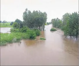  ?? HT PHOTO ?? ■ Water from Kali Bein entered fields in Hoshiarpur district on Monday. Special teams have been deputed to keep roundthecl­ock vigil.