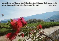  ?? Fotos: Wegner ?? Impression­en von Thassos: Von (links oben) dem Naturpool Giola bis zu (rechts unten) dem tatsächlic­hen Stück Ägypten auf der Insel,