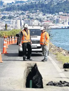  ?? PHOTO: STEPHEN JAQUIERY ?? Piping away a problem . . . Contractor­s work on a new pipe to control stormwater cascading off an Otago Peninsula property and on to Portobello Rd.