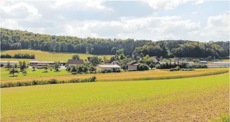  ?? FOTO: LEO SUCHAN ?? Vom Südhang aus hat man einen guten Blick über die kleinen und großen Gebäude der Bauernhöfe, die das Warmtal ausmachen.