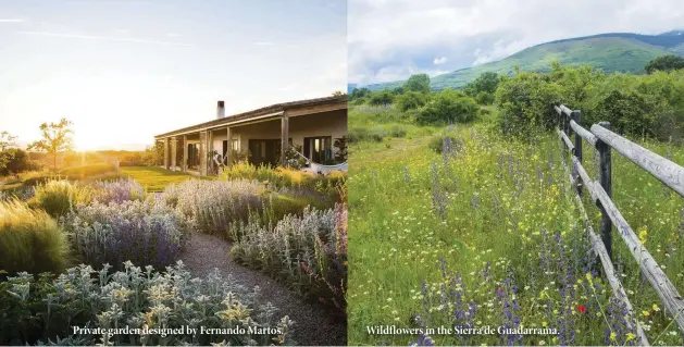  ??  ?? Private garden designed by Fernando Martos. Wildflower­s in the Sierra de Guadarrama.