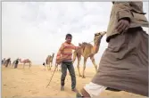  ?? PICTURE: REUTERS ?? Hashem, an 8-year-old jockey, looks on during the opening of the Internatio­nal Camel Racing festival at the Sarabium desert in Ismailia, Egypt yesterday.