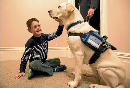  ?? PHOTO: JOSEPH JOHNSON/STUFF ?? Lachlan Carnahan’s assistance dog, Lady, has helped him significan­tly since they were introduced to each other in February.