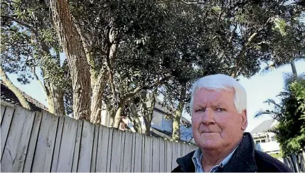  ?? JAMES PASLEY/STUFF ?? Resident John Inverarity doesn’t want two pohutukawa to be chopped down in St Heliers.