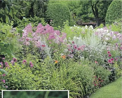  ?? THERESA FORTE
SPECIAL TO THE ST. CATHARINES STANDARD ?? A glorious summer border filled with pink and white phlox, pink achillea, violet veronicas and silver Russian sage accented with hot pink dahlias.