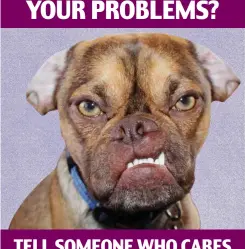  ??  ?? YOUR PROBLEMS? TELL SOMEONE WHO CARES