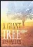  ??  ?? A Giant Tree has Fallen: Tributes to Ali Al’Amin Mazrui (African Perspectiv­e)