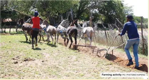  ?? PIC: PHATSIMO KAPENG ?? Farming activity