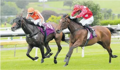  ?? Photo / Trish Dunell ?? Espresso Martini (outer) beats Jip Jip Rock in the Trevor Eagle Memorial at Ellerslie on Saturday.