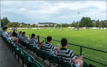  ??  ?? The Greystones replacemen­ts look on from the stand in Dr Hickey Park.