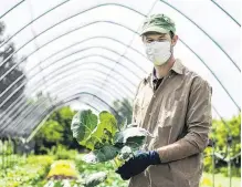  ?? PHOTOS: GETTY IMAGES ?? Stepping up . . . Food producers and restaurant­s donated surplus fruit, vegetables, meat and eggs during the Covid19 lockdown to help offset an increase in demand for food parcels.