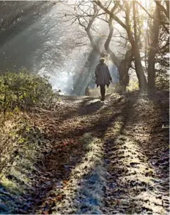  ??  ?? Following a frosty path as first light filters through the trees.