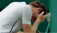  ??  ?? Re di Wimbledon Andy Murray, 29 anni, scozzese (Getty Images)