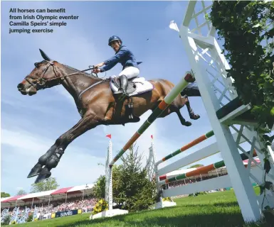  ??  ?? All horses can benefit from Irish Olympic eventer Camilla Speirs’ simple jumping exercise