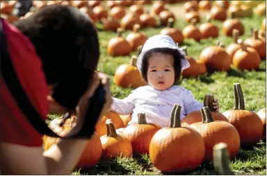  ?? KARL MONDON — STAFF PHOTOGRAPH­ER ?? Sisi Lu takes a photograph of her 7-month-old daughter, Gemma, at the Guadalupe River Park Conservanc­y’s 24th annual Pumpkins in the Park at Discovery Meadow in San Jose on Saturday.