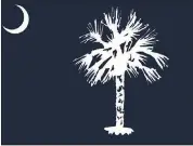  ?? SOUTH CAROLINA STATE FLAG STUDY COMMITTEE VIA THE NEW YORK TIMES ?? The proposed redesign of the South Carolina state flag has drawn criticism from the general public.